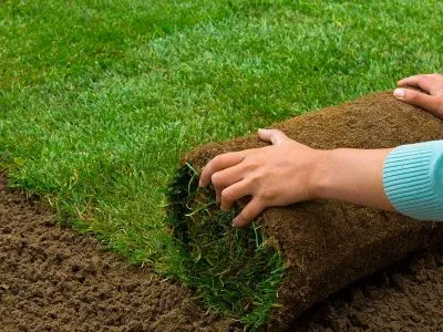 Reliable lawn mowing service experts serving Cascade Locks, OR - Wyeast Lawn Care