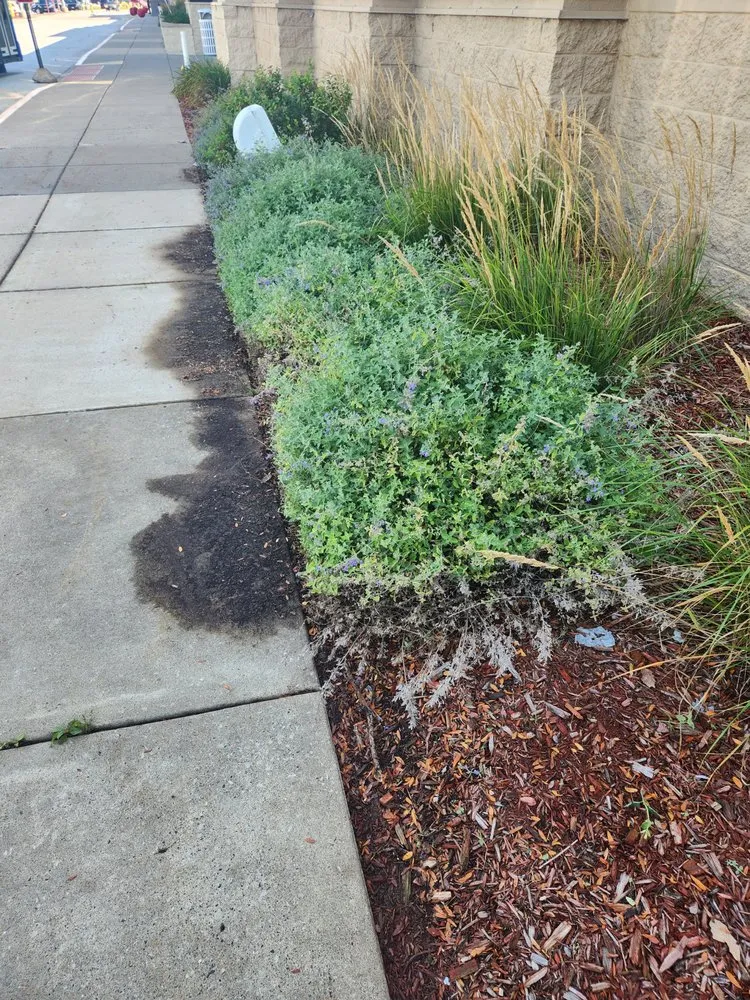 Expert residential landscaping experts serving Colona, IL - Wyffels Family