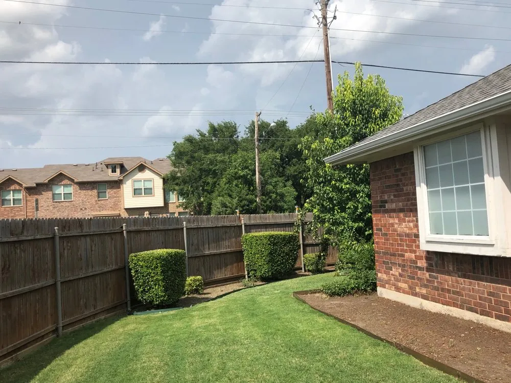 Expert yard cleanup service in Wylie, TX by Wylie Lawn Boy