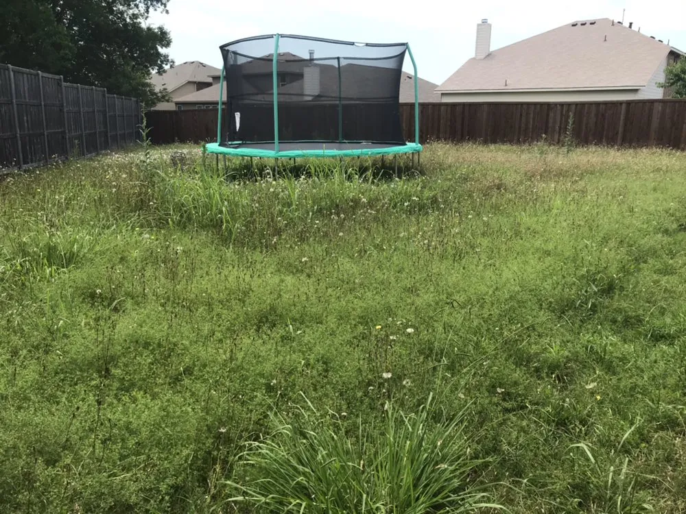Trusted yard cleanup service experts serving Wylie, TX - Wylie Lawn Boy