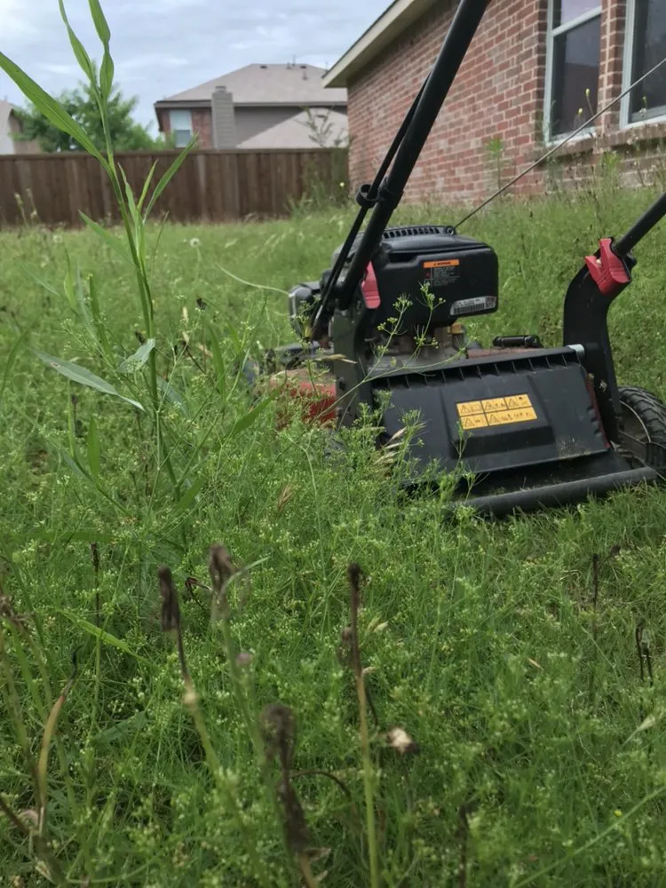 Affordable landscape design in Wylie, TX by Wylie Lawn Boy