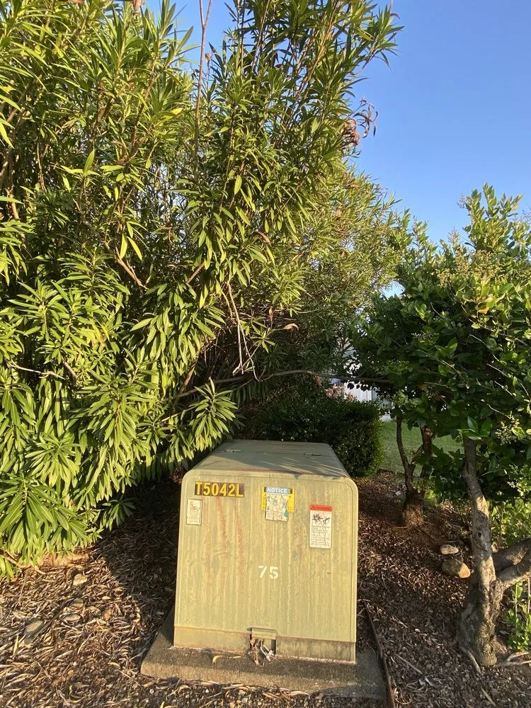 Reliable lawn mowing service in Redding, CA - Wyllie’s Lawn Service