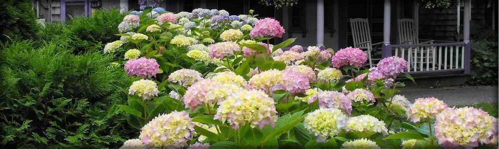 Affordable residential landscaping experts serving Hanson, MA - Wyman's Garden Center