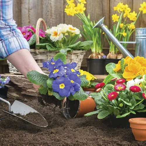 Expert landscape design for residential properties across Hanson, MA - Wyman's Garden Center