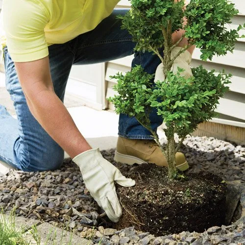 Professional garden landscaping in Hanson, MA by Wyman's Garden Center