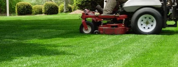 Trusted garden landscaping with custom design in Herieatta, NY by Wynn Lawn Care