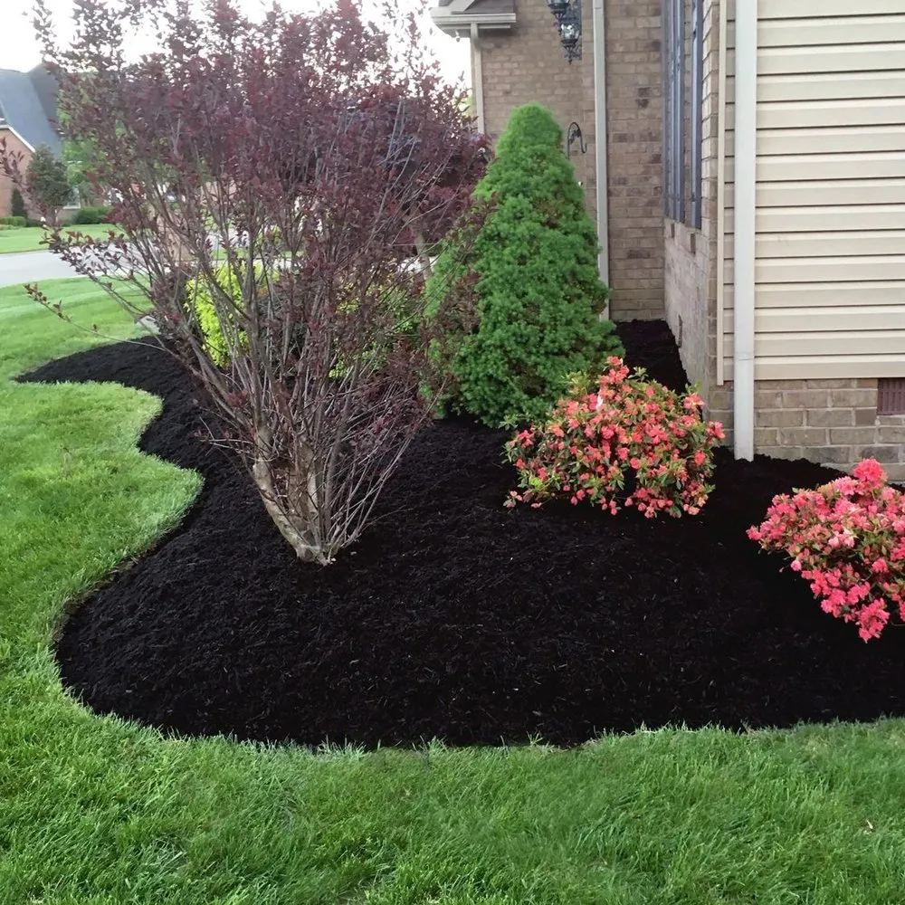 Local outdoor landscaping in Charleston, WV - Wynn Lawn Services