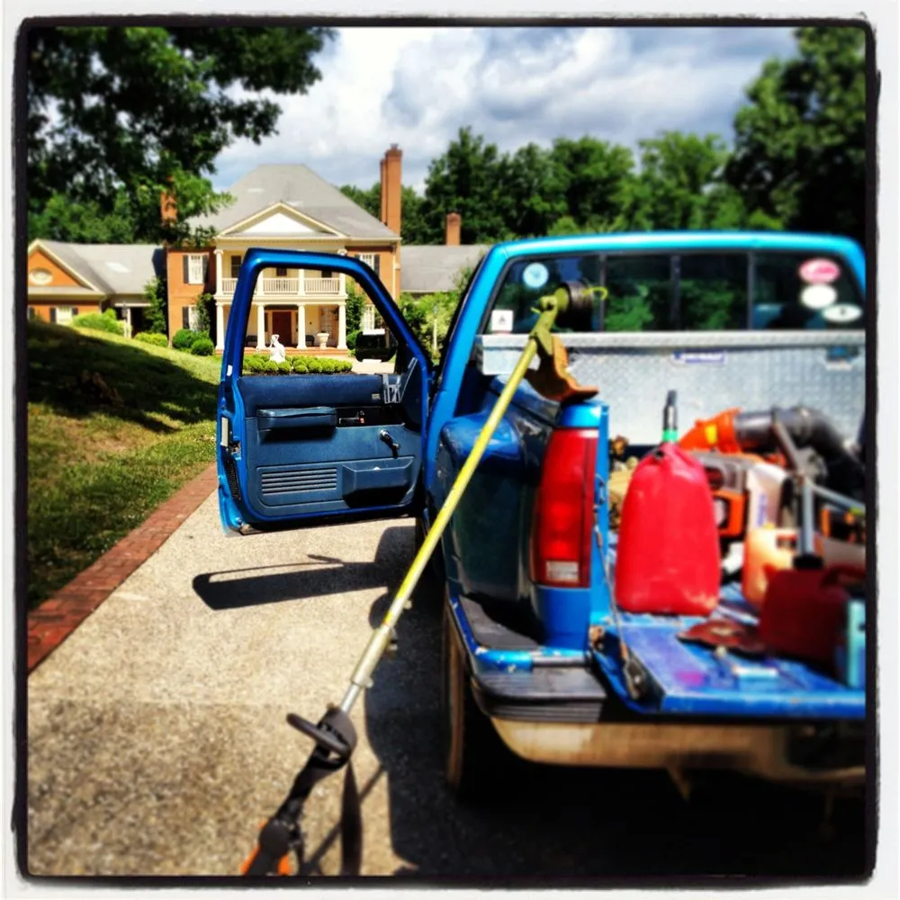 Top-rated yard cleanup service near you in Charleston, WV by Wynn Lawn Services