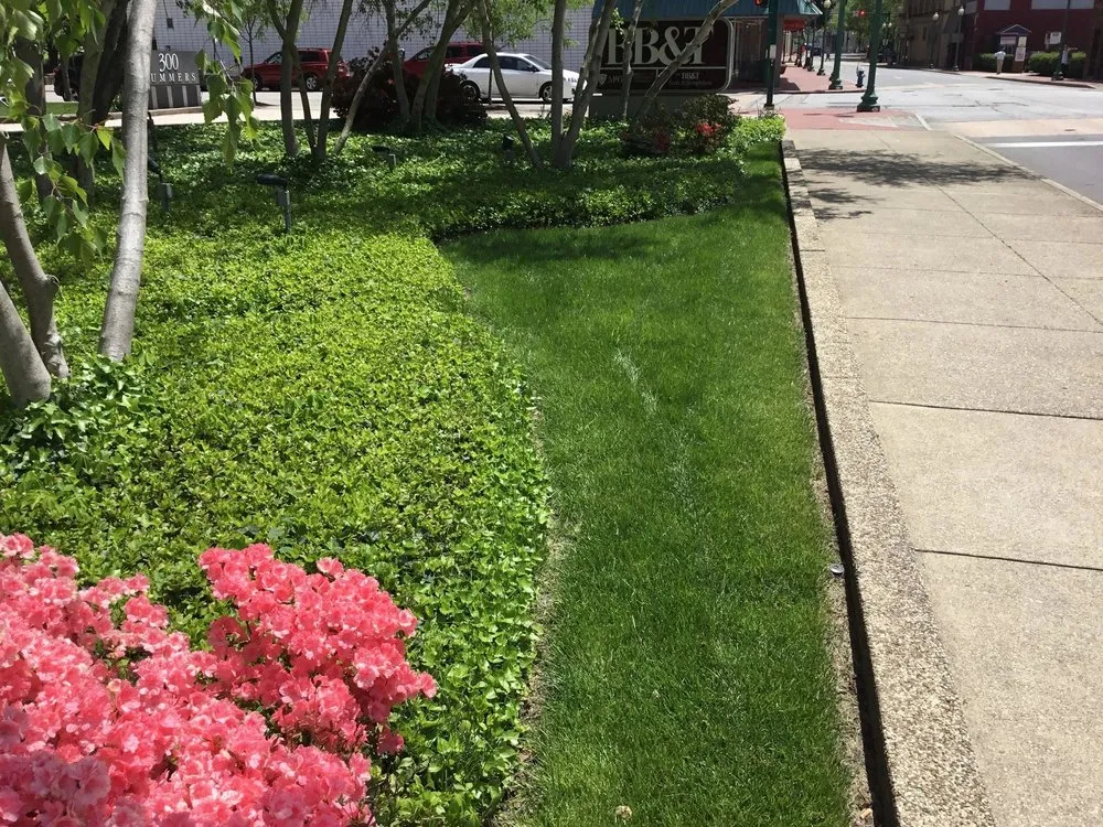 Local yard cleanup service for homes across Charleston, WV - Wynn Lawn Services