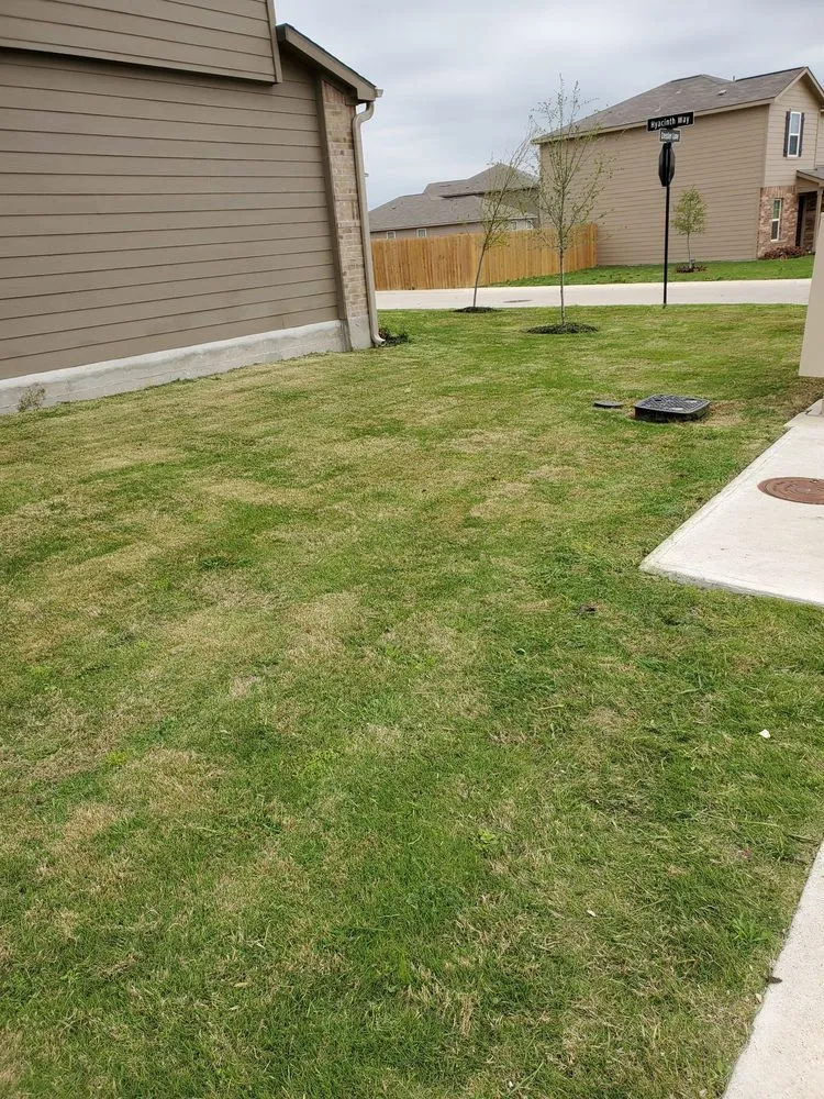 Trusted lawn care service experts serving Belton, TX - Wynne Landscape