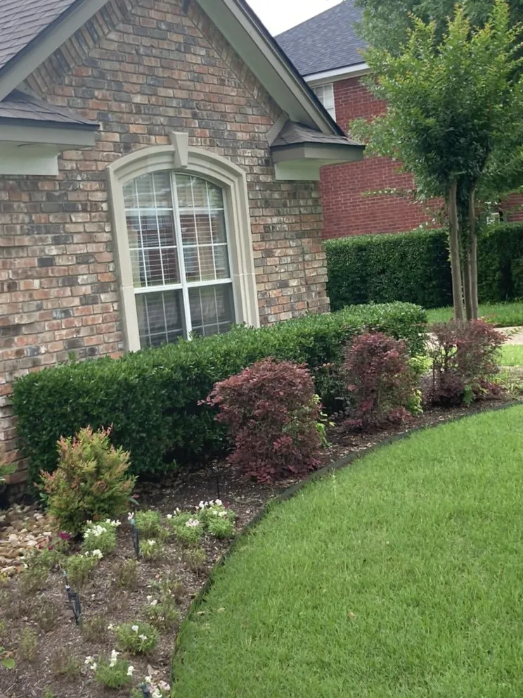 Local lawn mowing service experts serving Belton, TX - Wynne Landscape