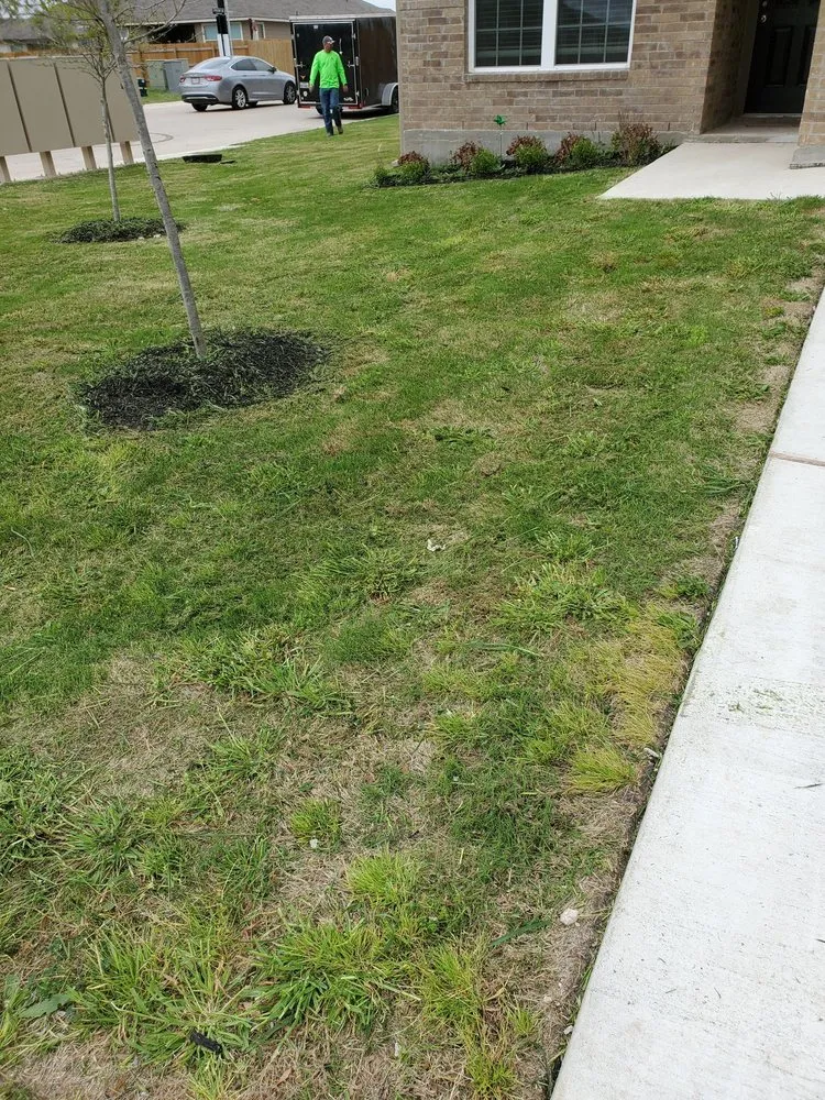 Trusted yard maintenance for year-round maintenance in Belton, TX by Wynne Landscape