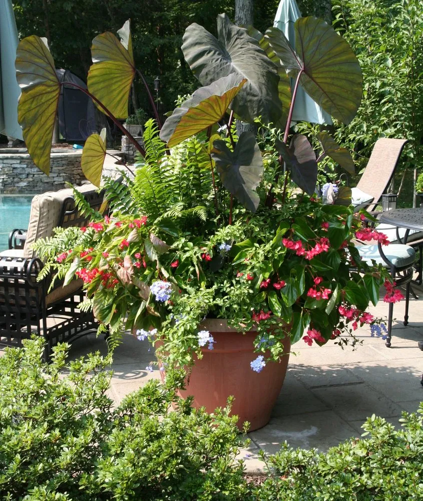 Local landscape installation for outdoor upgrades across Franklin, TN - Wynnecrest Landscaping