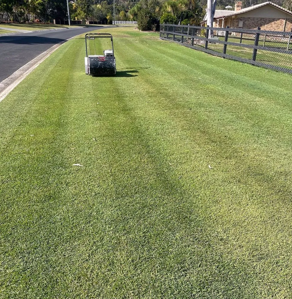 Local yard maintenance in Dallas, TX by Wynnewood Lawn Care
