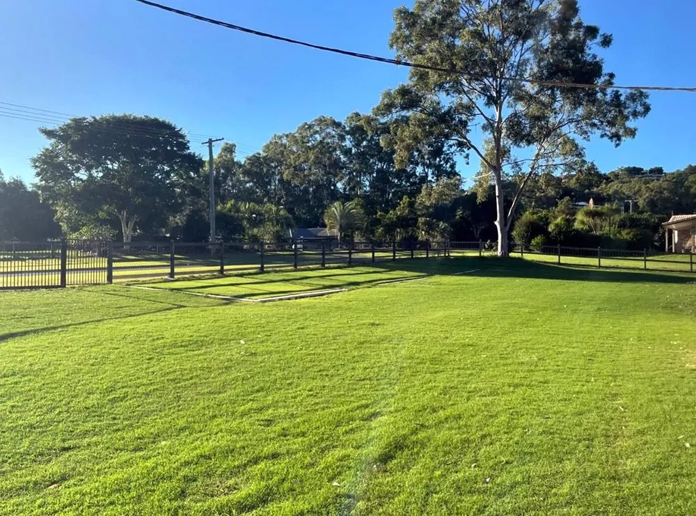 Trusted yard cleanup service in Dallas, TX by Wynnewood Lawn Care