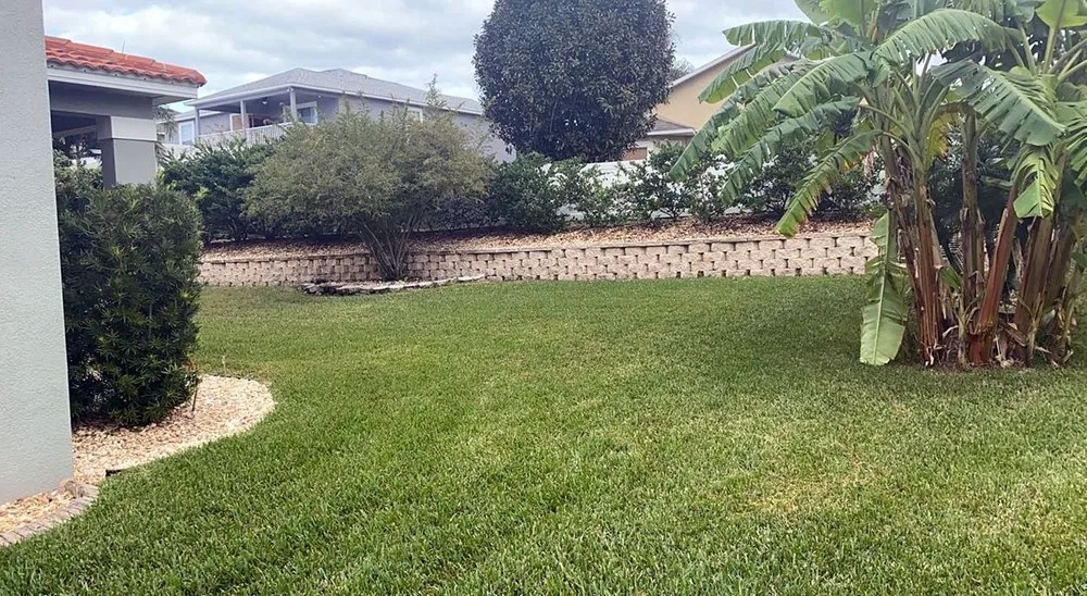 Professional yard cleanup service experts serving Dallas, TX - Wynnewood Lawn Care
