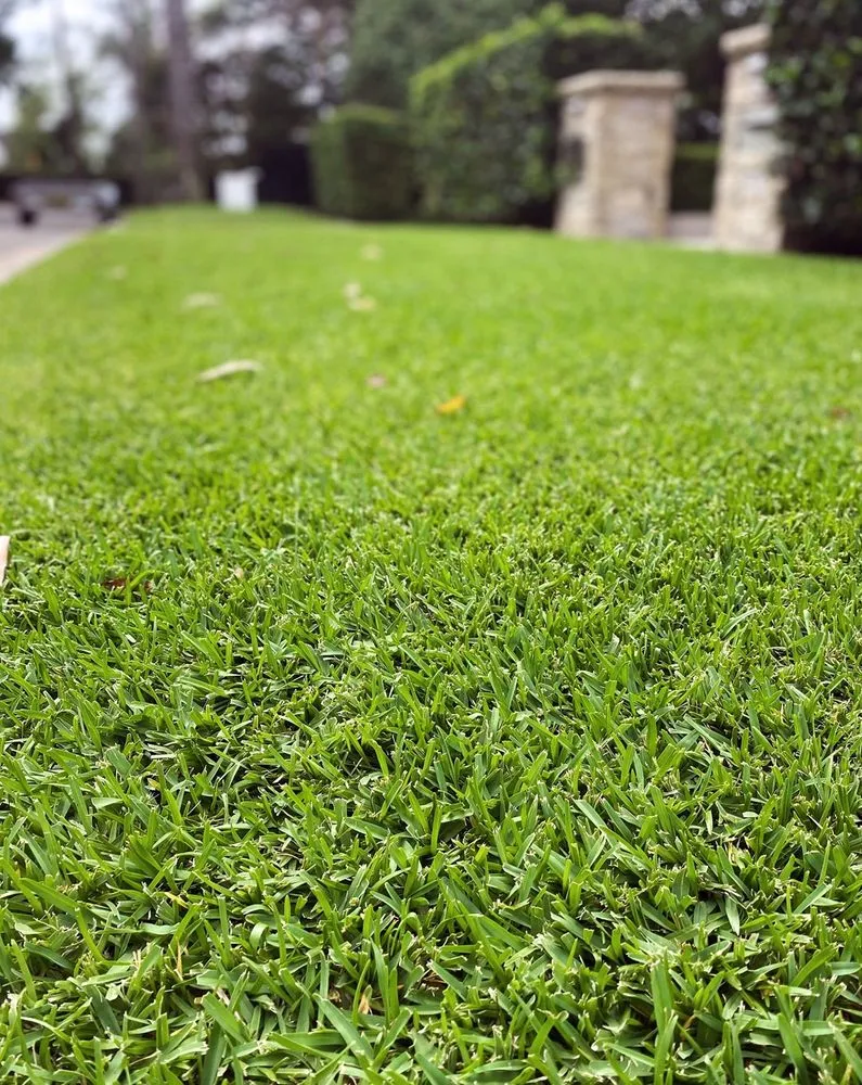 Professional residential landscaping experts serving Dallas, TX - Wynnewood Lawn Care