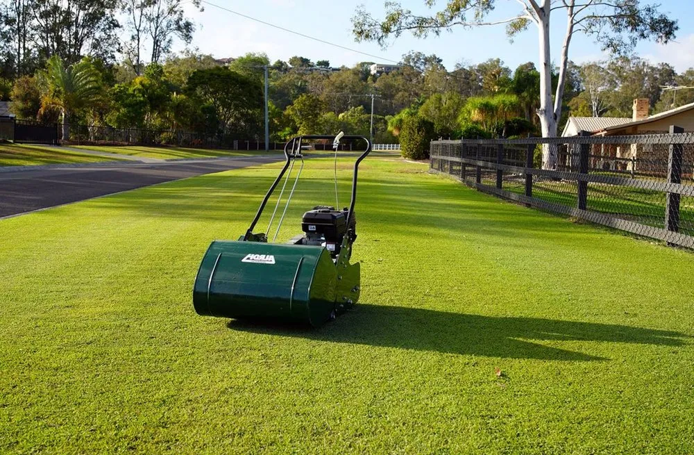 Affordable yard cleanup service in Dallas, TX - Wynnewood Lawn Care