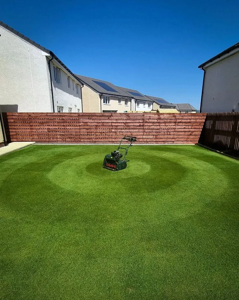 Professional yard maintenance in Dallas, TX - Wynnewood Lawn Care