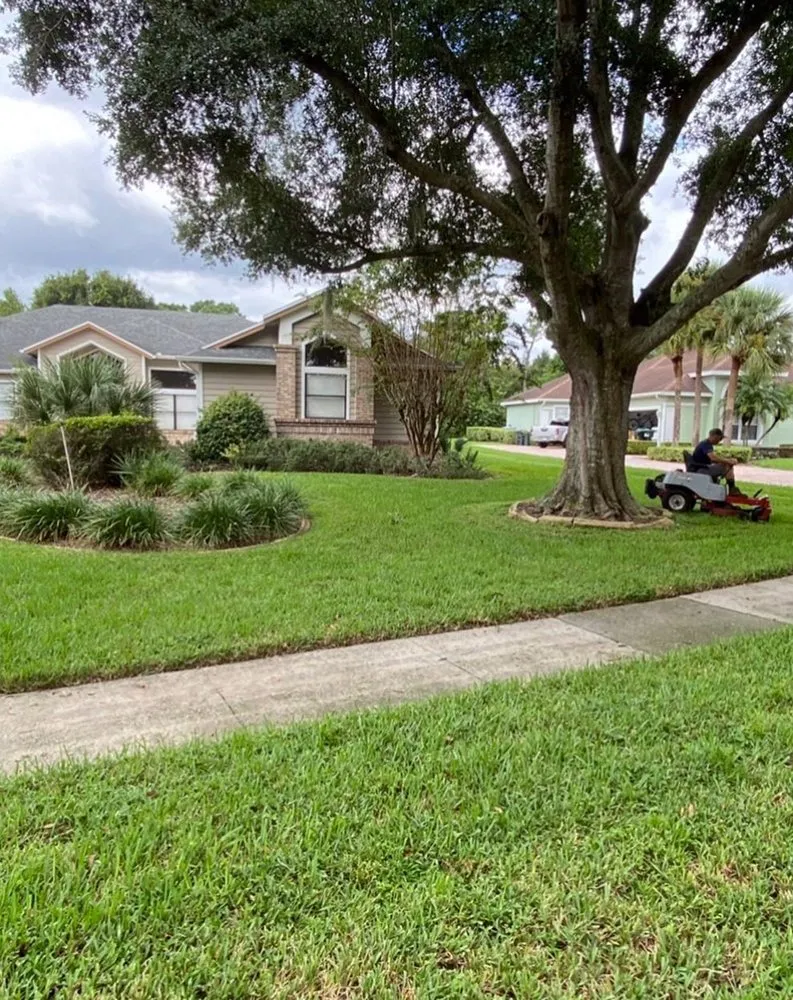 Reliable yard cleanup service experts serving Dallas, TX - Wynnewood Lawn Care