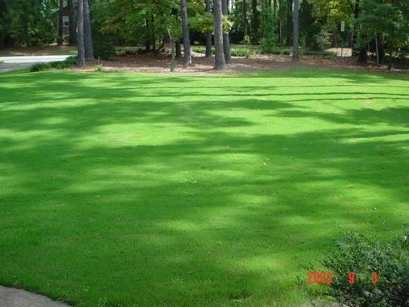 Trusted outdoor landscaping in Douglasville, GA by Wynn's Intensive Lawn Care