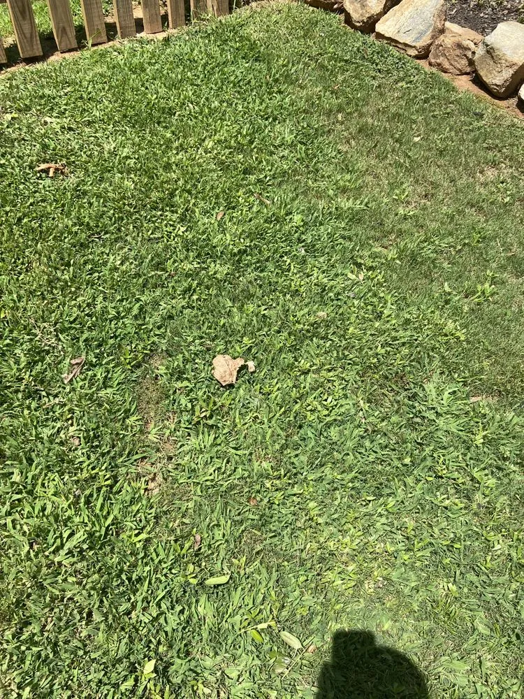 Custom landscape installation for outdoor upgrades across Douglasville, GA - Wynn's Intensive Lawn Care