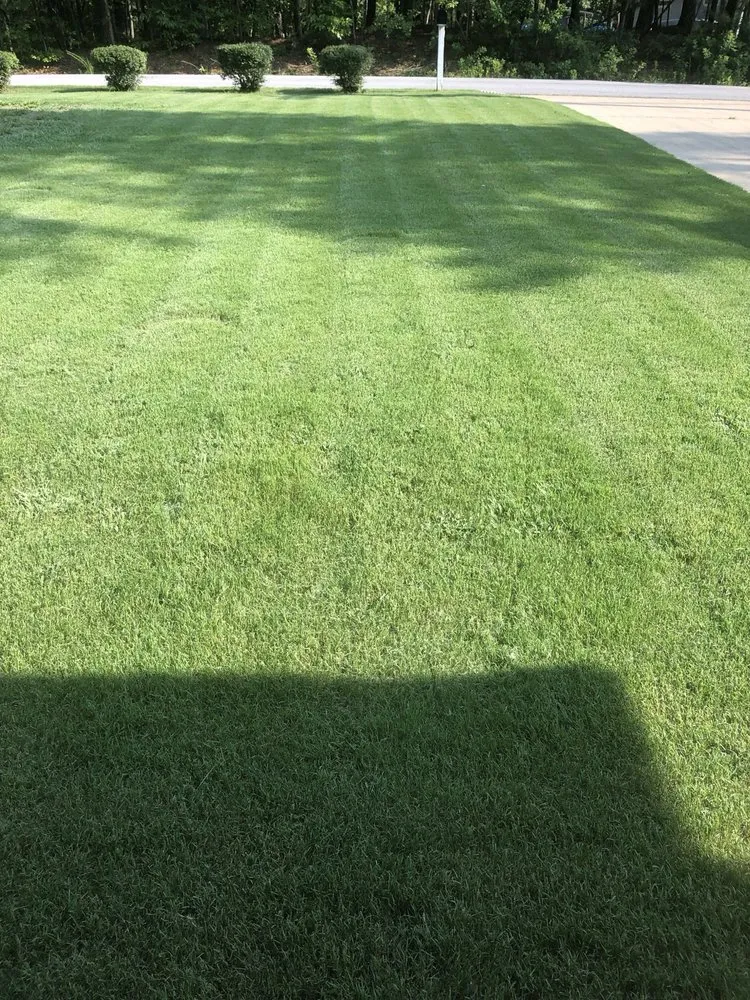 Reliable residential landscaping in Douglasville, GA - Wynn's Intensive Lawn Care