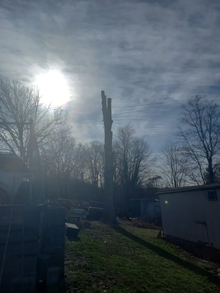 Reliable landscaping services for year-round maintenance across Princeton, WV - Wyrick Tree Service