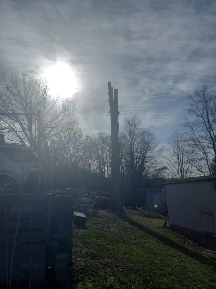 Expert outdoor landscaping experts serving Princeton, WV - Wyrick Tree Service