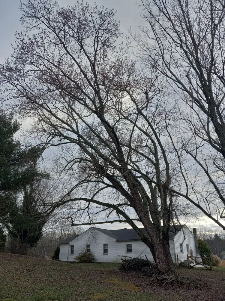 Trusted garden landscaping in Princeton, WV - Wyrick Tree Service