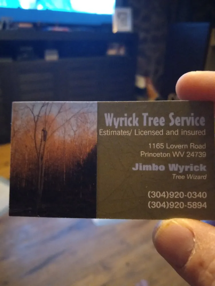 Professional landscaping services for year-round maintenance across Princeton, WV - Wyrick Tree Service