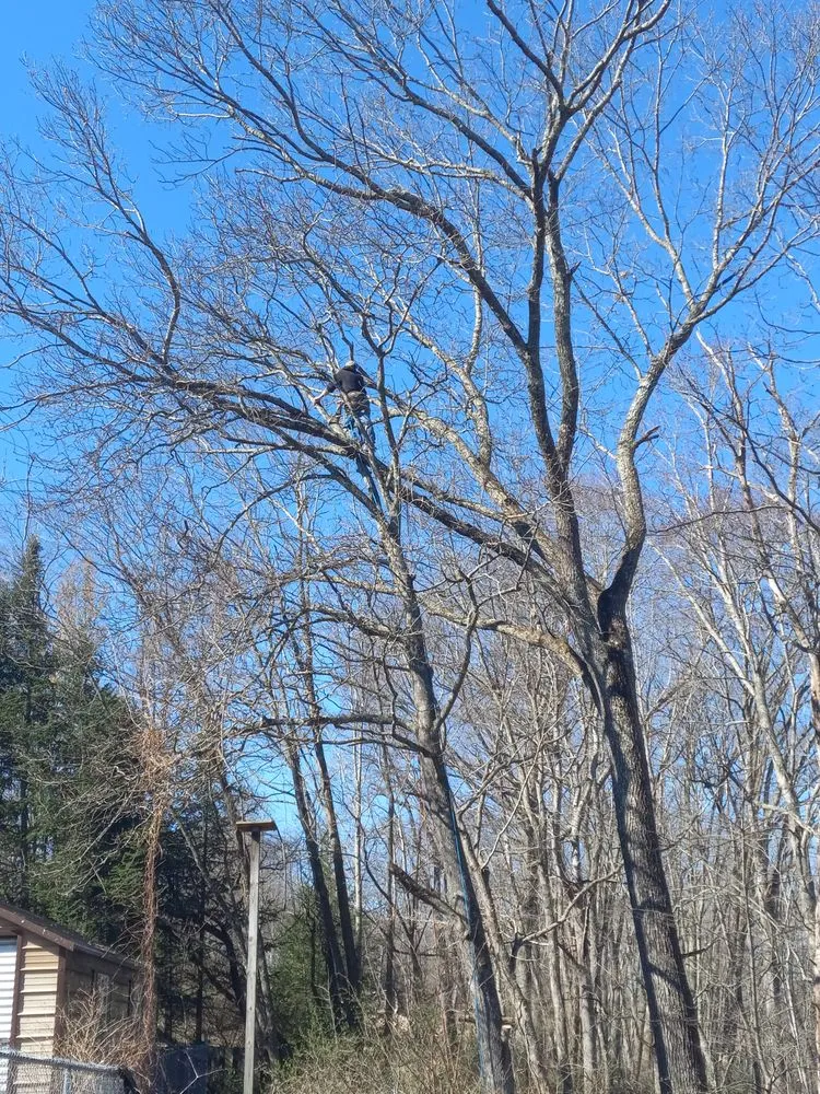 Affordable lawn mowing service in Princeton, WV by Wyrick Tree Service