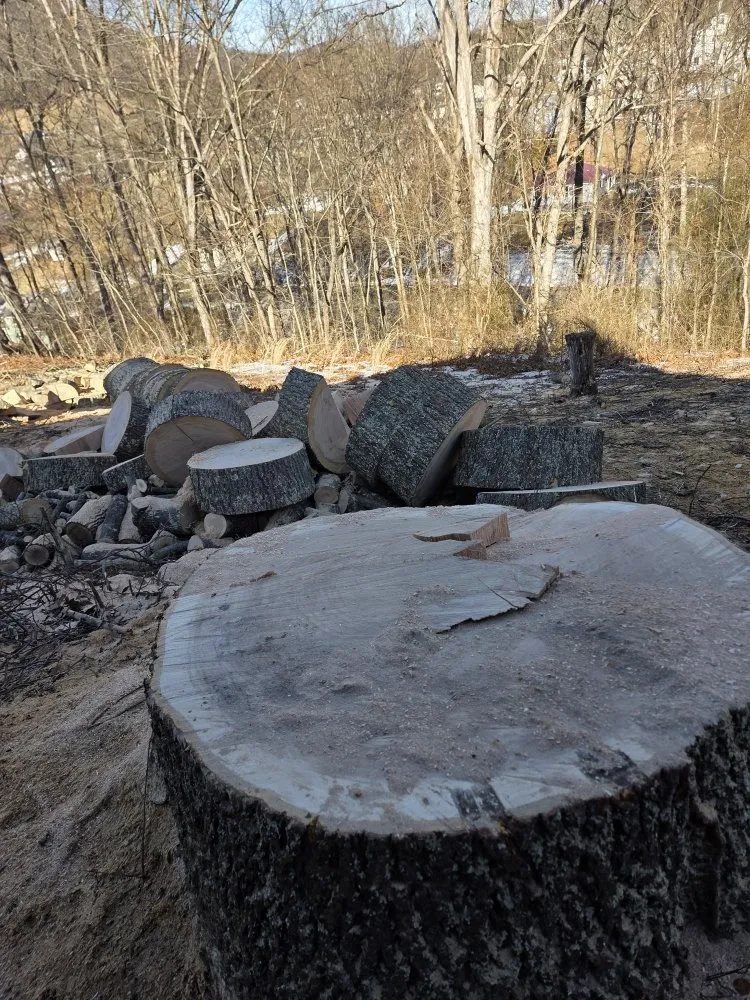 Affordable landscape design for residential properties across Princeton, WV - Wyrick Tree Service