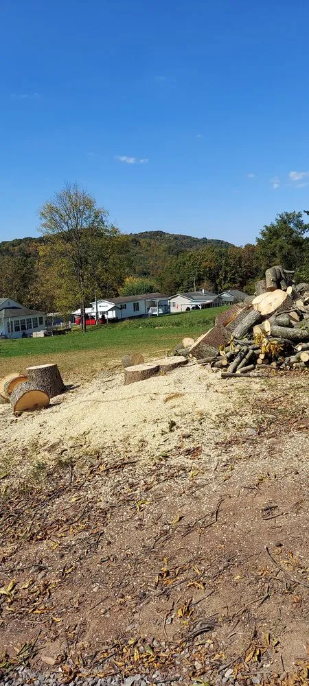 Top-rated landscape design for outdoor upgrades in Princeton, WV by Wyrick Tree Service