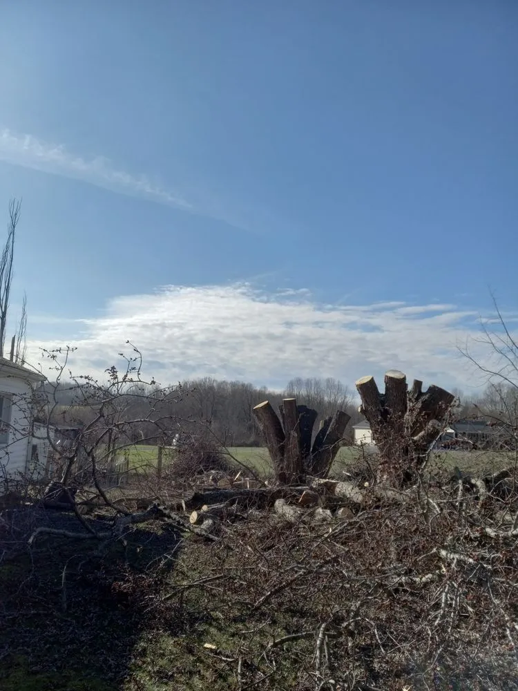 Professional garden landscaping near you in Princeton, WV by Wyrick Tree Service