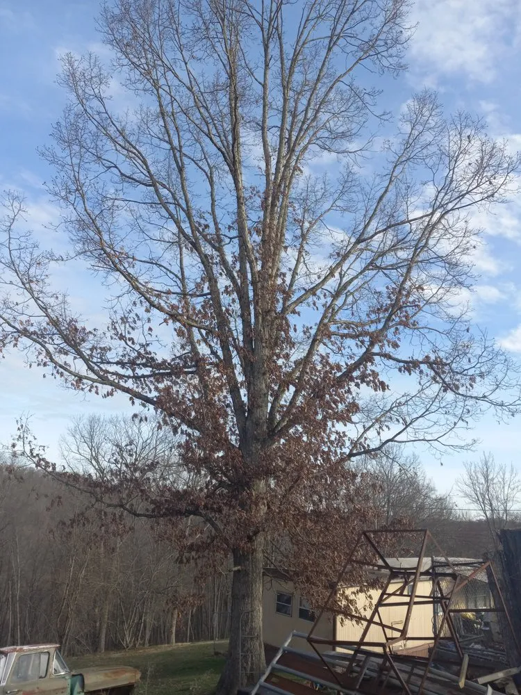 Professional landscaping services for residential properties across Princeton, WV - Wyrick Tree Service