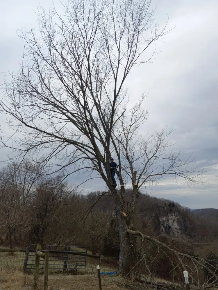 Local residential landscaping in Princeton, WV - Wyrick Tree Service