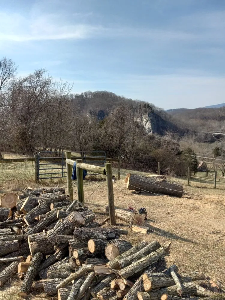 Professional lawn care service with custom design across Princeton, WV - Wyrick Tree Service