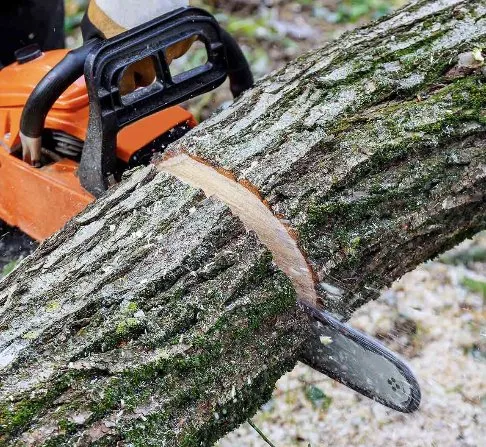 Expert lawn mowing service for beautiful yards in Princeton, WV by Wyrick Tree Service