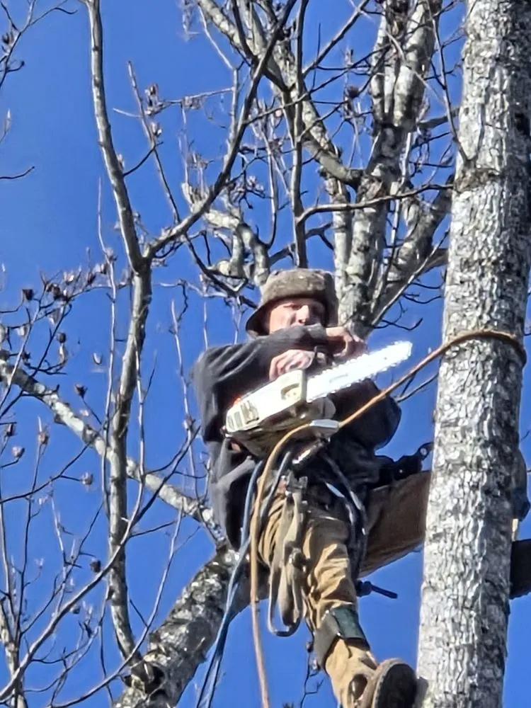 Reliable landscape design experts serving Princeton, WV - Wyrick Tree Service