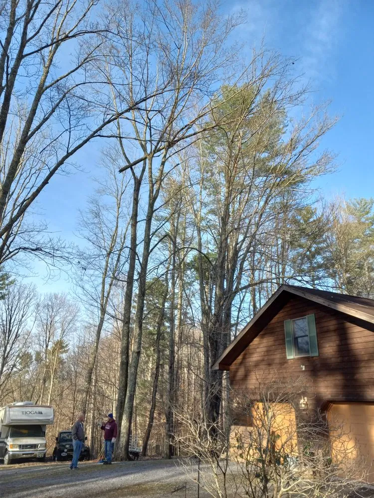 Reliable residential landscaping for residential properties in Princeton, WV by Wyrick Tree Service