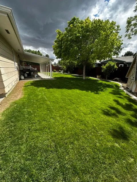 Professional lawn care service experts serving Powell, WY - WY’s Guys Property Maintenance