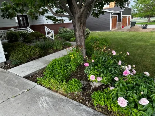 Professional yard cleanup service for year-round maintenance across Powell, WY - WY’s Guys Property Maintenance