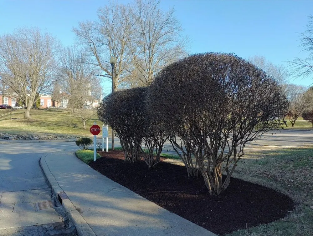 Affordable lawn mowing service experts serving Louisville, KY - Wysor Ecological Services