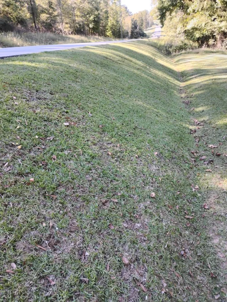 Professional yard maintenance experts serving Milledgeville, GA - X-Avier's Lawn Care