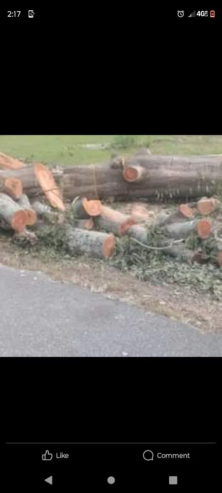 Trusted garden landscaping in Milledgeville, GA by X-Avier's Lawn Care