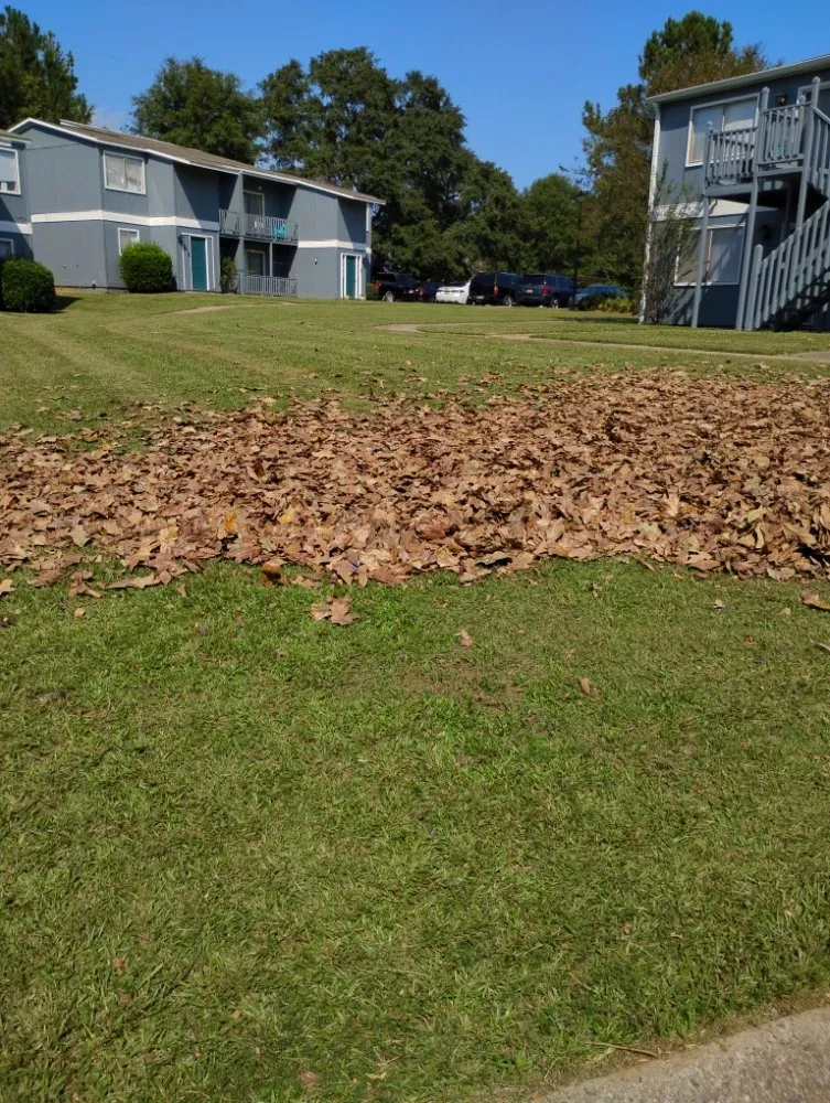 Trusted lawn care service experts serving Milledgeville, GA - X-Avier's Lawn Care