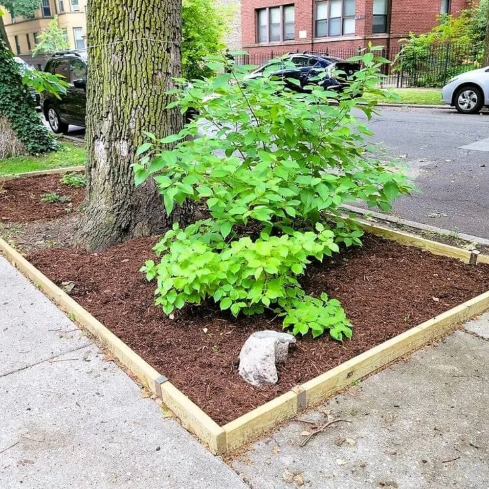 Reliable yard maintenance for year-round maintenance across Milledgeville, GA - X-Avier's Lawn Care