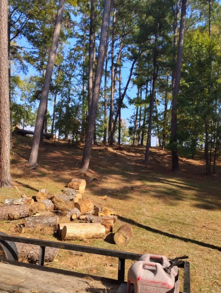 Trusted residential landscaping in Milledgeville, GA by X-Avier's Lawn Care