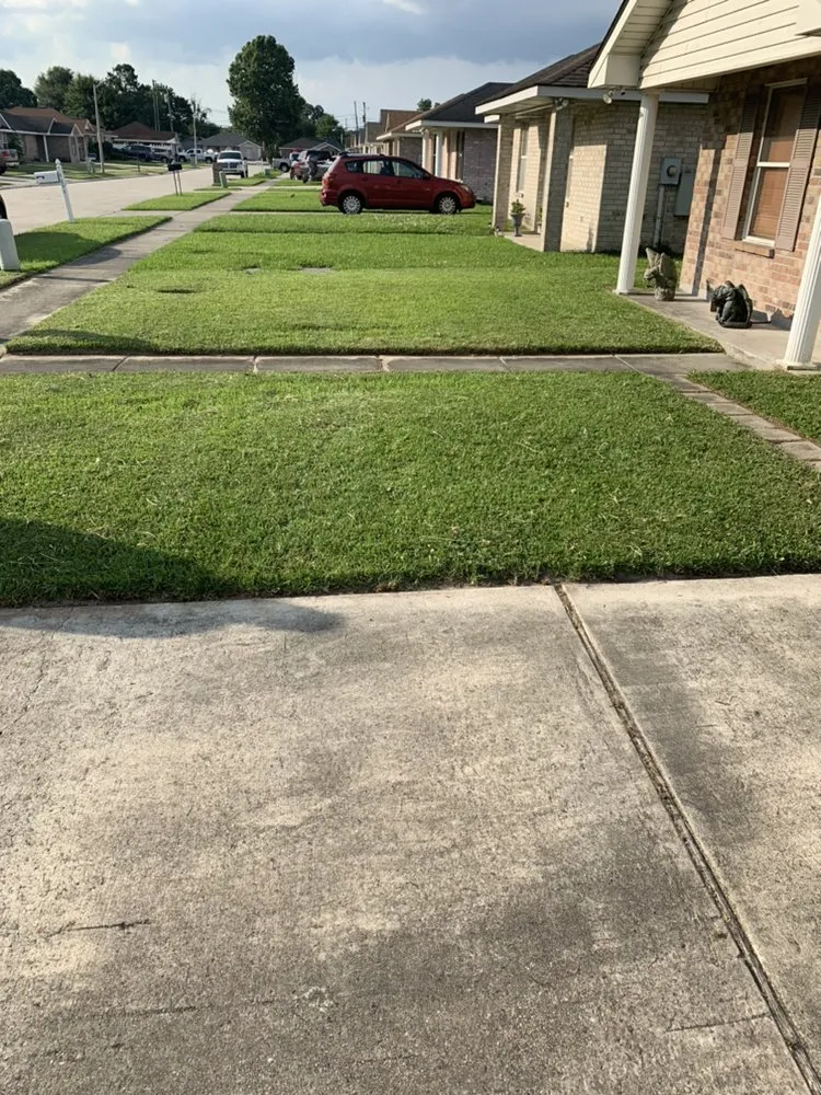 Affordable garden landscaping in New Orleans, LA - X-ceptional Lawns LLC